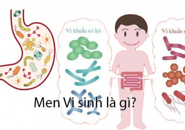 Men vi sinh
