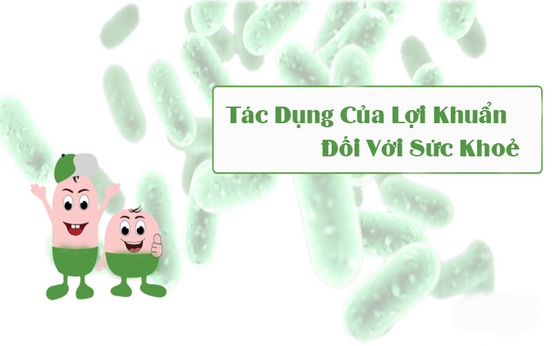 Cơ chế của lợi khuẩn đối với hệ miễn dịch