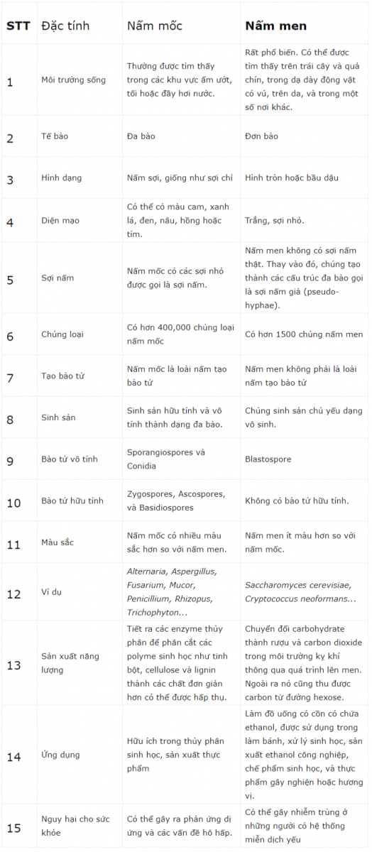 Câu hỏi Dưới đây là hình ảnh mô tả các hình thức sinh sản ở nấm men rượu  Các em hãy xác định tên gọi và diễn biến của  Hoc24